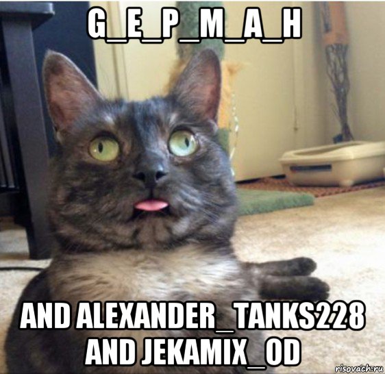 g_e_p_m_a_h and alexander_tanks228 and jekamix_od, Мем   Кот завис