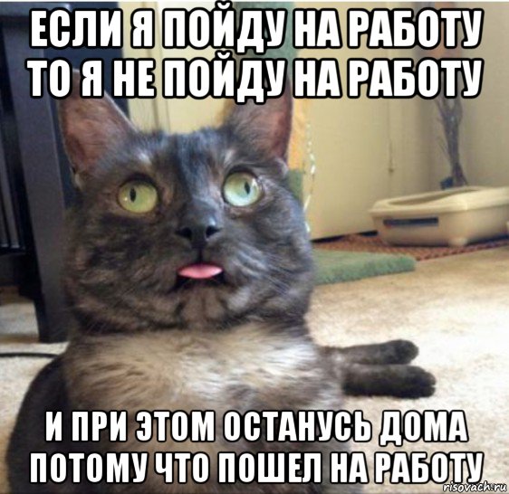 если я пойду на работу то я не пойду на работу и при этом останусь дома потому что пошел на работу, Мем   Кот завис