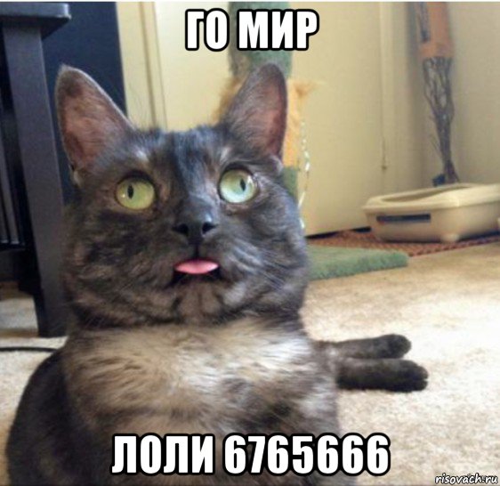 го мир лоли 6765666, Мем   Кот завис