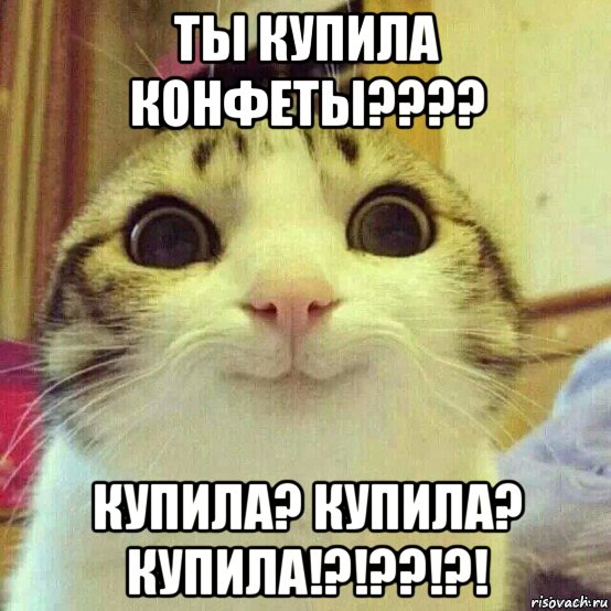 ты купила конфеты???? купила? купила? купила!?!??!?!, Мем       Котяка-улыбака