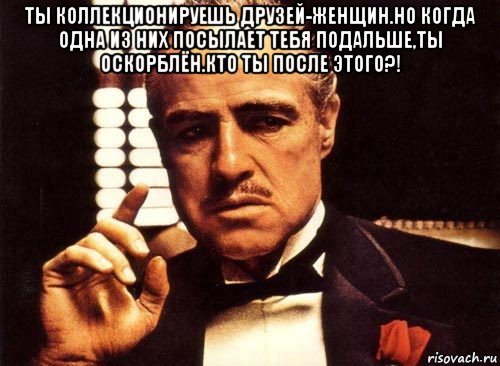 ты коллекционируешь друзей-женщин.но когда одна из них посылает тебя подальше,ты оскорблён.кто ты после этого?! , Мем крестный отец