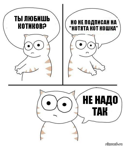 ты любишь котиков? но не подписан на "котята кот кошка" не надо так