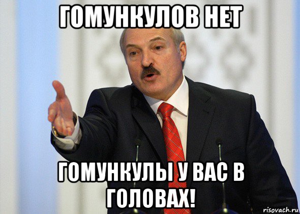 гомункулов нет гомункулы у вас в головах!, Мем лукашенко