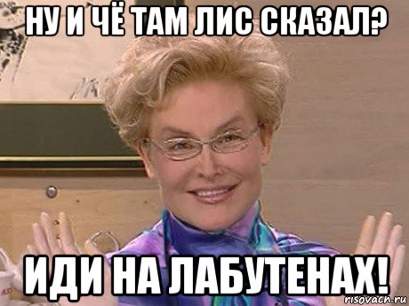 ну и чё там лис сказал? иди на лабутенах!, Мем Елена Малышева