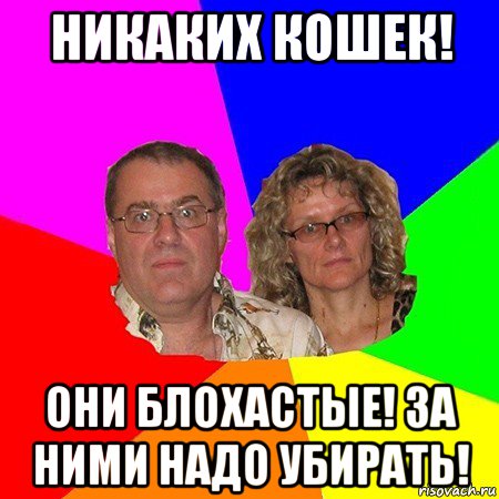 никаких кошек! они блохастые! за ними надо убирать!, Мем  Типичные родители