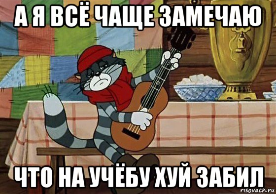 а я всё чаще замечаю что на учёбу хуй забил, Мем Грустный Матроскин с гитарой