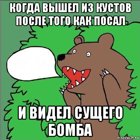 когда вышел из кустов после того как посал и видел сущего бомба, Мем Медведь-шлюха