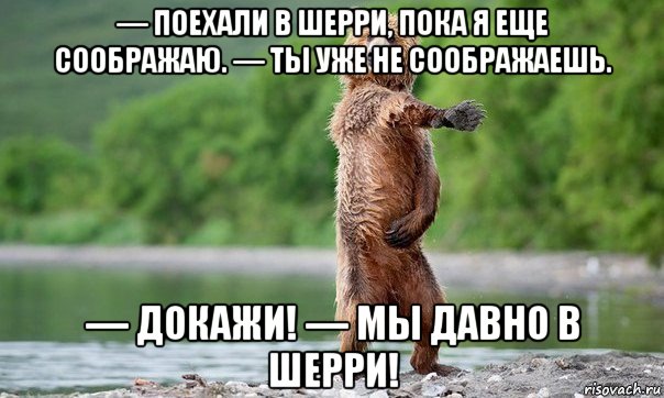 — поехали в шерри, пока я еще соображаю. — ты уже не соображаешь. — докажи! — мы давно в шерри!, Мем Медвед танцует