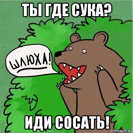 ты где сука? иди сосать!