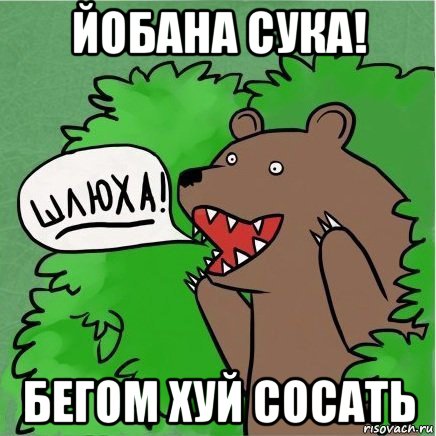 йобана сука! бегом хуй сосать