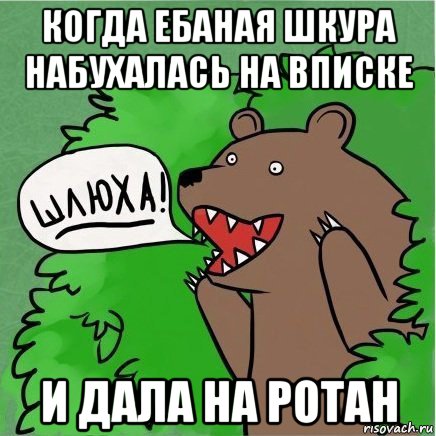 когда ебаная шкура набухалась на вписке и дала на ротан, Мем Медведь в кустах