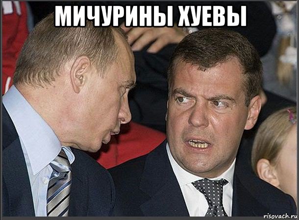 мичурины хуевы , Мем Медведев Путин