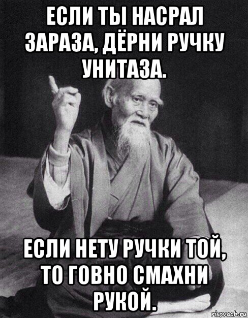 если ты насрал зараза, дёрни ручку унитаза. если нету ручки той, то говно смахни рукой., Мем Монах-мудрец (сэнсей)