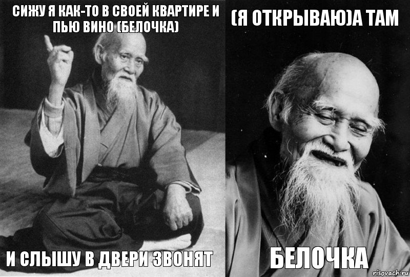 Сижу я как-то в своей квартире и пью вино (белочка) и слышу в двери звонят (я открываю)А там Белочка, Комикс Мудрец-монах (4 зоны)