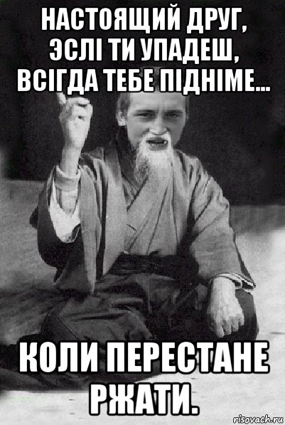 настоящий друг, эслі ти упадеш, всігда тебе підніме... коли перестане ржати., Мем Мудрий паца