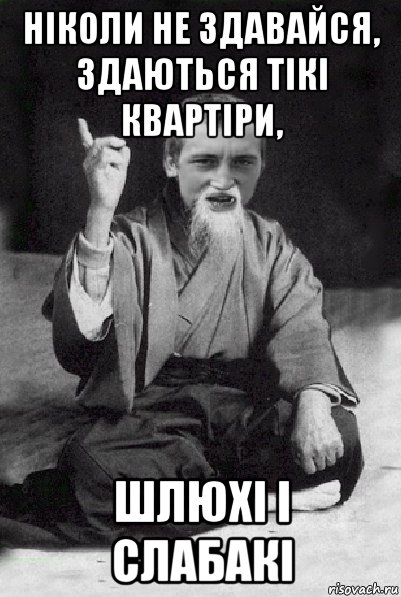 ніколи не здавайся, здаються тікі квартіри, шлюхі і слабакі, Мем Мудрий паца