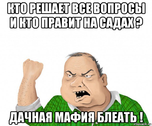 кто решает все вопросы и кто правит на садах ? дачная мафия блеать !, Мем мужик