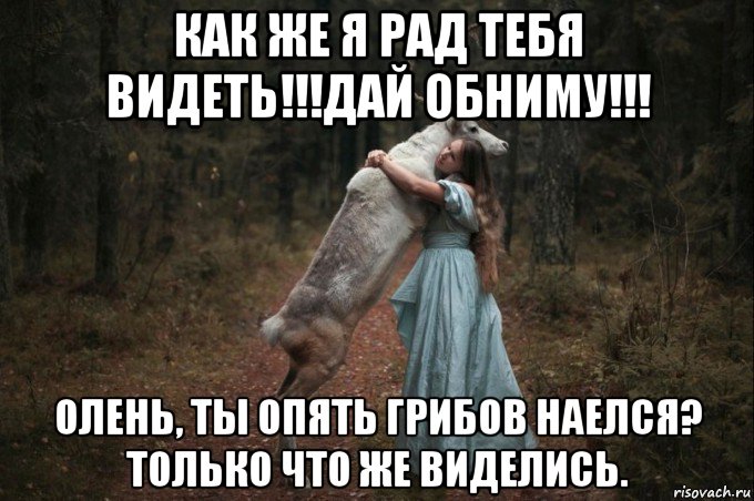 как же я рад тебя видеть!!!дай обниму!!! олень, ты опять грибов наелся? только что же виделись., Мем Наивный Олень шаблон 5