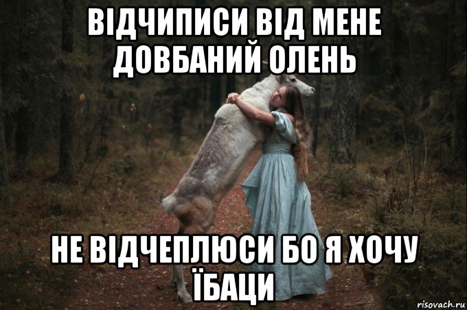 відчиписи від мене довбаний олень не відчеплюси бо я хочу їбаци, Мем Наивный Олень шаблон 5