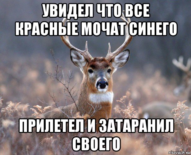 увидел что все красные мочат синего прилетел и затаранил своего, Мем   Наивный олень