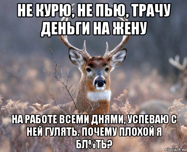 не курю, не пью, трачу деньги на жену на работе всеми днями, успеваю с ней гулять. почему плохой я бл%ть?, Мем   Наивный олень