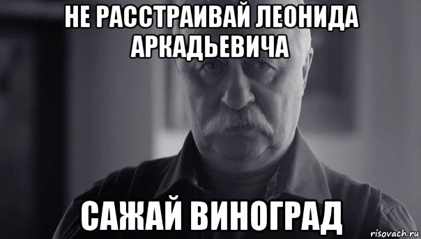 не расстраивай леонида аркадьевича сажай виноград, Мем Не огорчай Леонида Аркадьевича