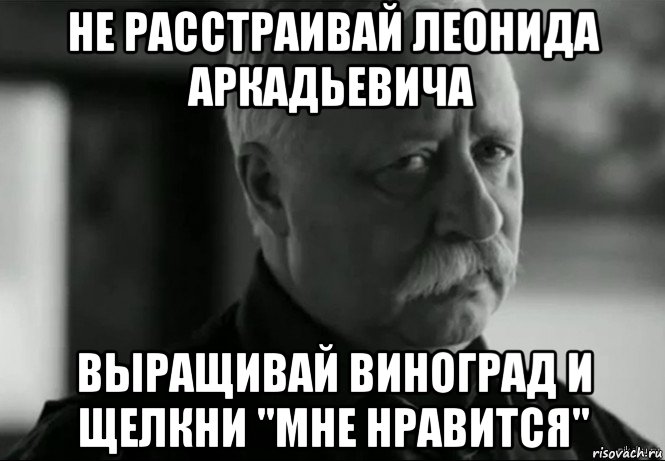 не расстраивай леонида аркадьевича выращивай виноград и щелкни "мне нравится", Мем Не расстраивай Леонида Аркадьевича