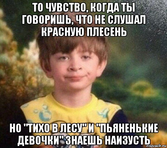 то чувство, когда ты говоришь, что не слушал красную плесень но "тихо в лесу" и "пьяненькие девочки" знаешь наизусть, Мем Недовольный пацан