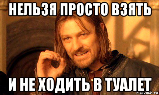 нельзя просто взять и не ходить в туалет, Мем Нельзя просто так взять и (Боромир мем)