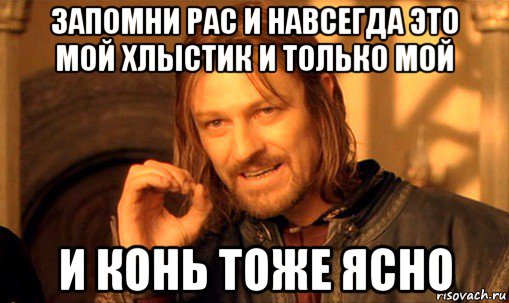 запомни рас и навсегда это мой хлыстик и только мой и конь тоже ясно, Мем Нельзя просто так взять и (Боромир мем)