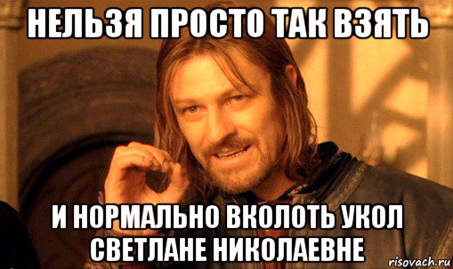 нельзя просто так взять и нормально вколоть укол светлане николаевне, Мем Нельзя просто так взять и (Боромир мем)