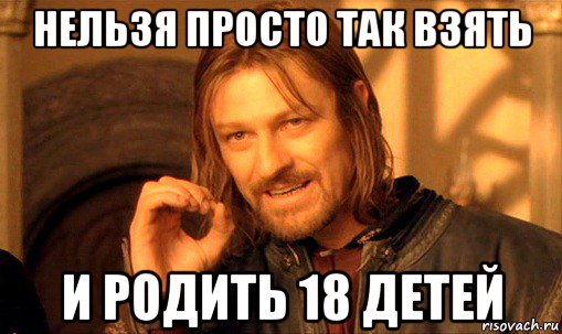 нельзя просто так взять и родить 18 детей, Мем Нельзя просто так взять и (Боромир мем)