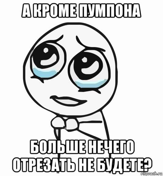 а кроме пумпона больше нечего отрезать не будете?, Мем  ну пожалуйста (please)