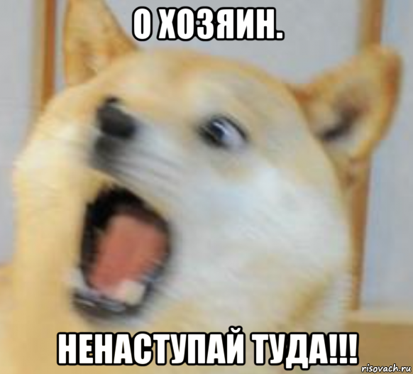 о хозяин. ненаступай туда!!!