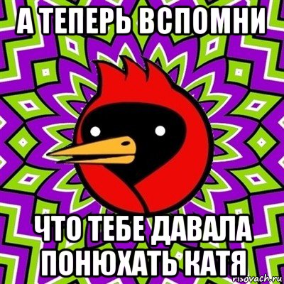 а теперь вспомни что тебе давала понюхать катя, Мем Омская птица