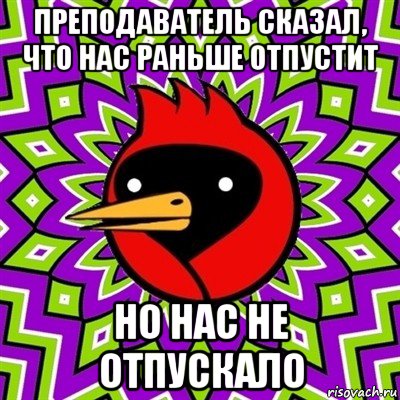 преподаватель сказал, что нас раньше отпустит но нас не отпускало, Мем Омская птица