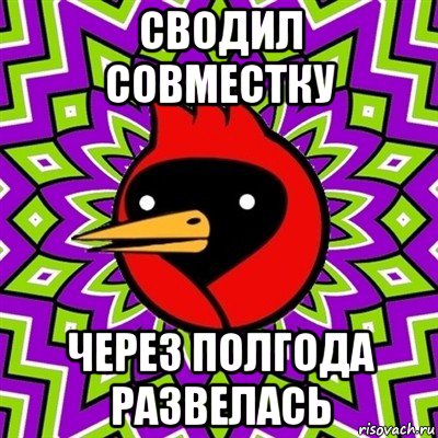 сводил совместку через полгода развелась, Мем Омская птица