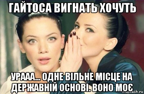 гайтоса вигнать хочуть урааа... одне вільне місце на державній основі. воно моє, Мем  Он