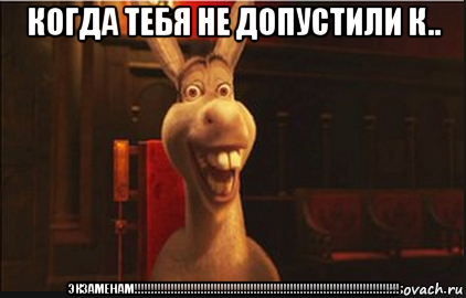 когда тебя не допустили к.. экзаменам!!!!!!!!!!!!!!!!!!!!!!!!!!!!!!!!!!!!!!!!!!!!!!!!!!!!!!!!!!!!!!!!!!!!!!!!!!!!!!!!, Мем Осел из Шрека