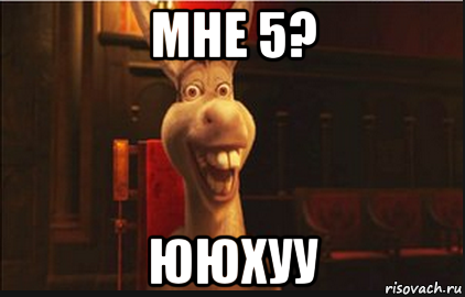 мне 5? ююхуу, Мем Осел из Шрека