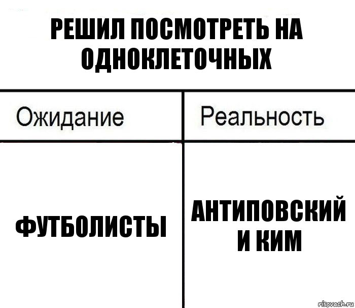 Решил посмотреть на одноклеточных Футболисты Антиповский и Ким, Комикс  Ожидание - реальность