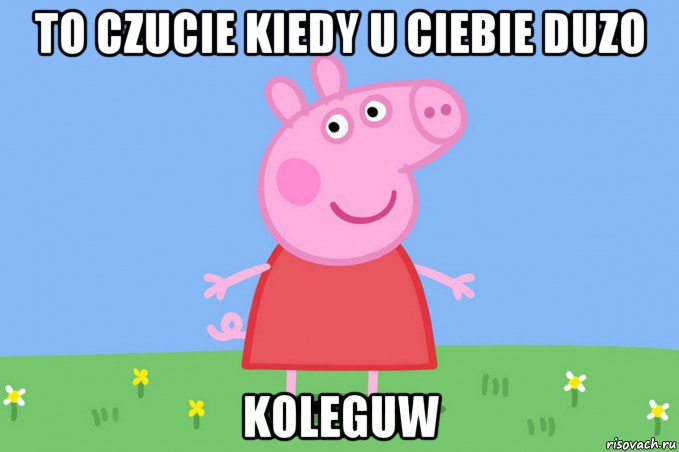 to czucie kiedy u ciebie duzo koleguw, Мем Пеппа