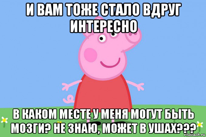 и вам тоже стало вдруг интересно в каком месте у меня могут быть мозги? не знаю, может в ушах???, Мем Пеппа