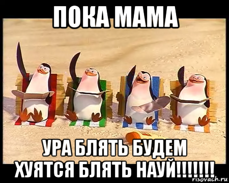 пока мама ура блять будем хуятся блять науй!!!!!!!, Мем   пингвины мадагаскара машут