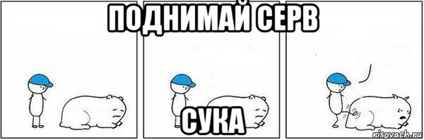 поднимай серв сука