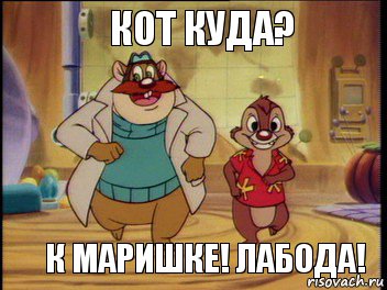 Кот куда? К маришке! Лабода!