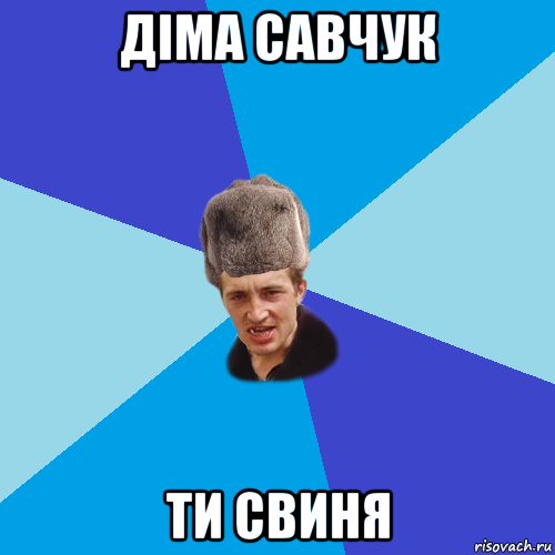 діма савчук ти свиня