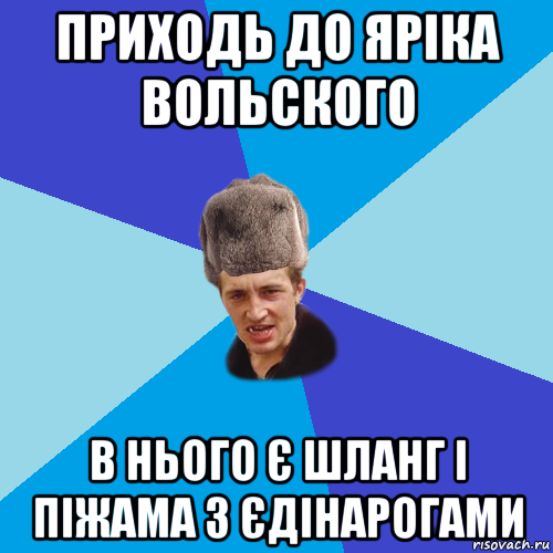 приходь до яріка вольского в нього є шланг і піжама з єдінарогами, Мем Празднчний паца