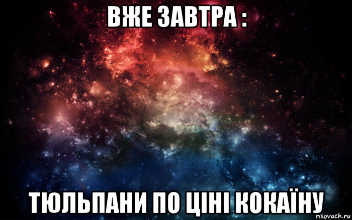 вже завтра : тюльпани по ціні кокаїну, Мем Просто космос