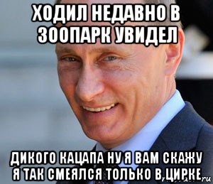 ходил недавно в зоопарк увидел дикого кацапа ну я вам скажу я так смеялся только в цирке, Мем Путин смеется